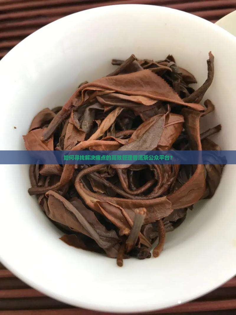 如何寻找解决痛点的高效管理普洱茶公众平台？
