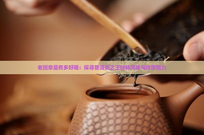 老班章是有多好喝：探寻普洱茶之王独特风味与传承魅力