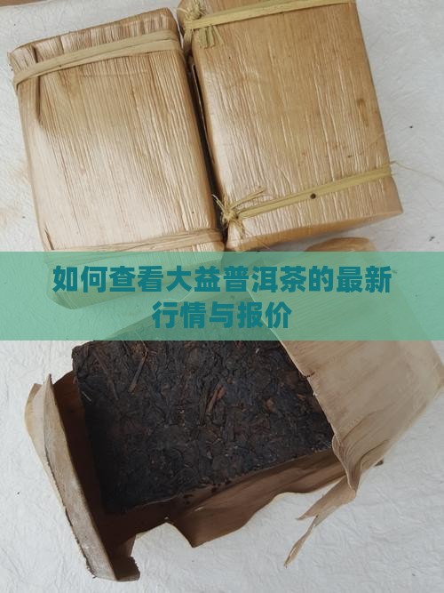 如何查看大益普洱茶的最新行情与报价