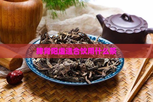 脾肾阳虚适合饮用什么茶