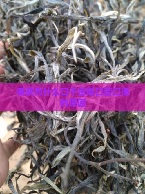 喝茶为什么口干舌燥口苦口渴的原因