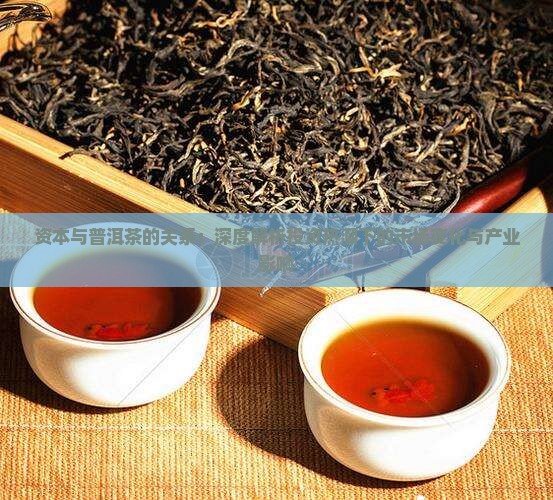 资本与普洱茶的关系：深度解析投资热潮下的市场变化与产业影响