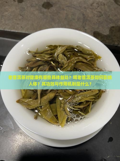 老普洱茶对健康有哪些具体益处？喝老普洱茶如何影响人体？其功效与作用机制是什么？