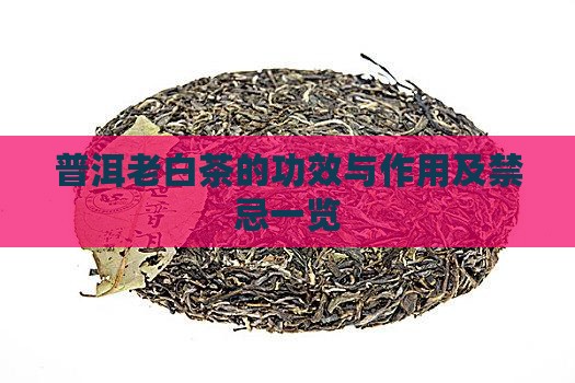 普洱老白茶的功效与作用及禁忌一览
