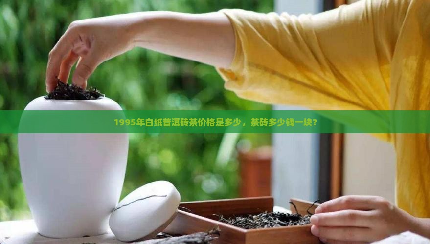 1995年白纸普洱砖茶价格是多少，茶砖多少钱一块？