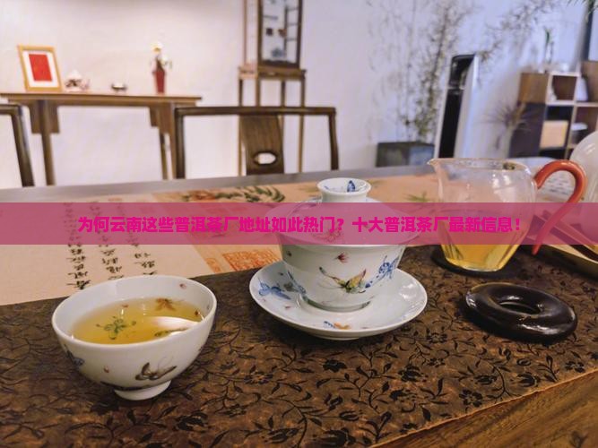 为何云南这些普洱茶厂地址如此热门？十大普洱茶厂最新信息！