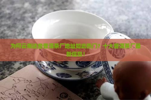 为何云南这些普洱茶厂地址如此热门？十大普洱茶厂最新信息！