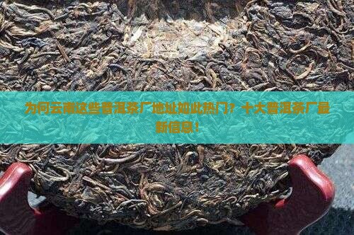 为何云南这些普洱茶厂地址如此热门？十大普洱茶厂最新信息！