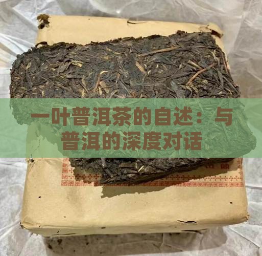 一叶普洱茶的自述：与普洱的深度对话