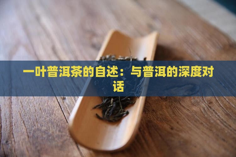 一叶普洱茶的自述：与普洱的深度对话