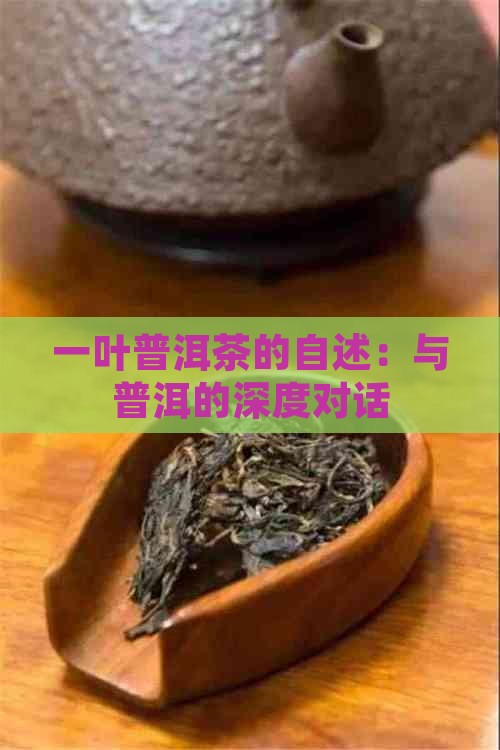 一叶普洱茶的自述：与普洱的深度对话