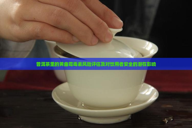 普洱茶里的黄曲霉毒素风险评估及对饮用者安全的潜在影响