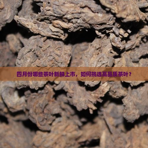 四月份哪些茶叶新鲜上市，如何挑选高品质茶叶？