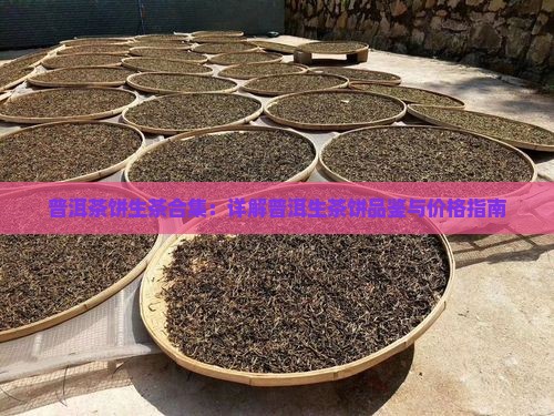 普洱茶饼生茶合集：详解普洱生茶饼品鉴与价格指南