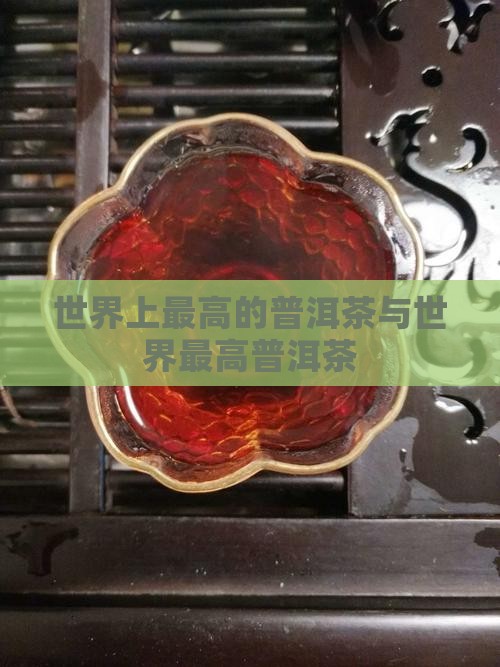 世界上最高的普洱茶与世界最高普洱茶