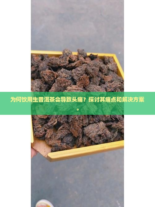 为何饮用生普洱茶会导致头痛？探讨其痛点和解决方案。