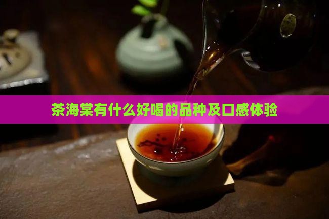 茶海棠有什么好喝的品种及口感体验
