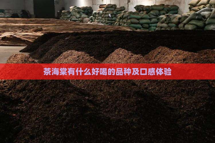 茶海棠有什么好喝的品种及口感体验