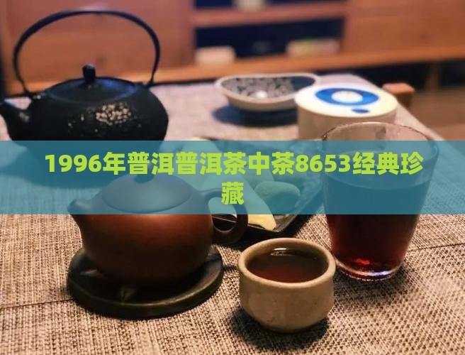 1996年普洱普洱茶中茶8653经典珍藏