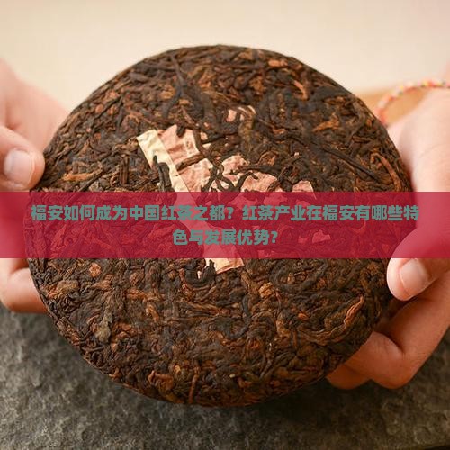 福安如何成为中国红茶之都？红茶产业在福安有哪些特色与发展优势？