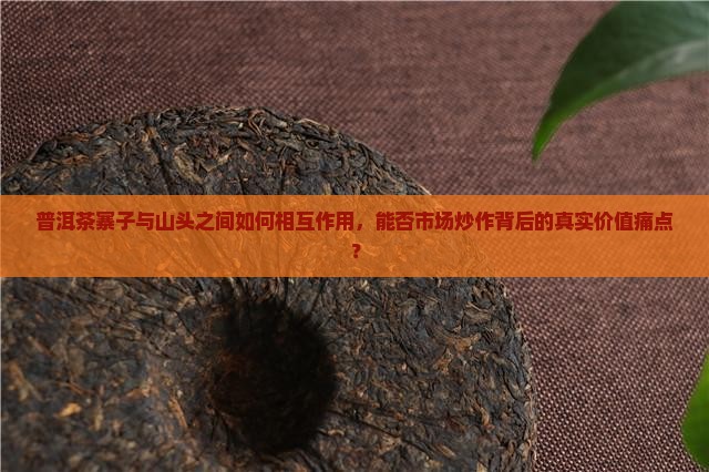 普洱茶寨子与山头之间如何相互作用，能否市场炒作背后的真实价值痛点？