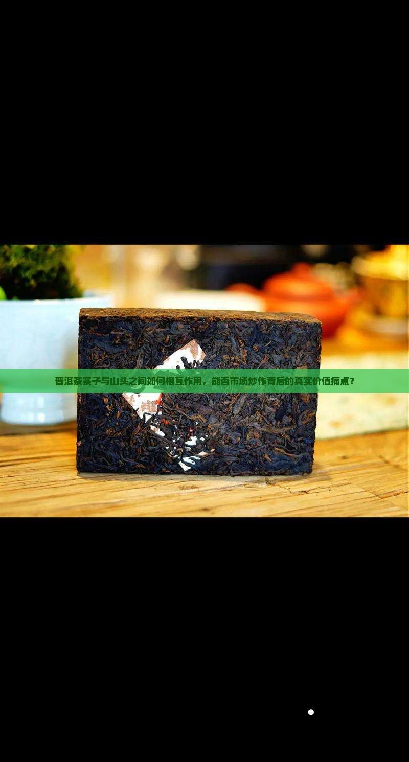 普洱茶寨子与山头之间如何相互作用，能否市场炒作背后的真实价值痛点？