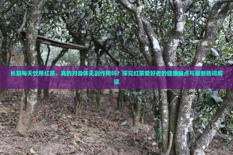 长期每天饮用红茶，真的对身体无副作用吗？探究红茶爱好者的健康痛点与最新热词解读