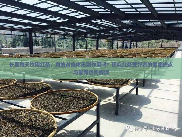 长期每天饮用红茶，真的对身体无副作用吗？探究红茶爱好者的健康痛点与最新热词解读