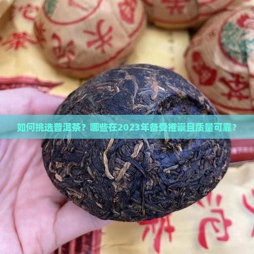 如何挑选普洱茶？哪些在2023年备受推崇且质量可靠？