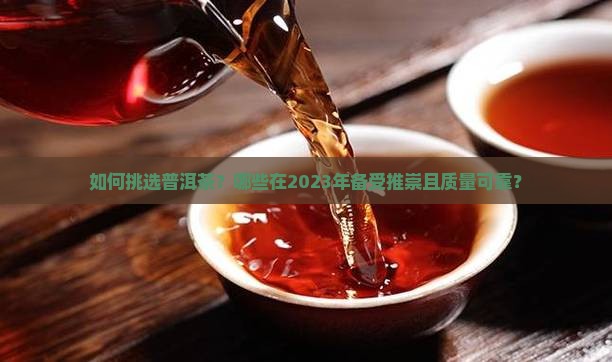 如何挑选普洱茶？哪些在2023年备受推崇且质量可靠？