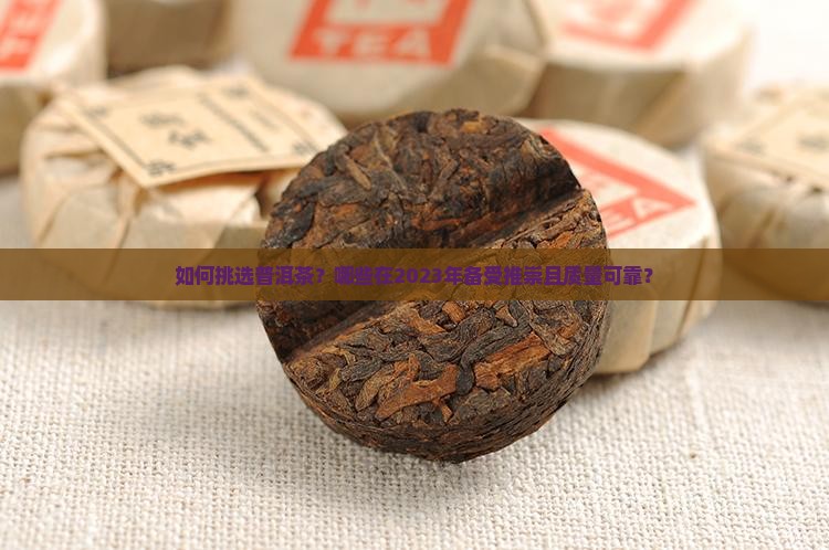 如何挑选普洱茶？哪些在2023年备受推崇且质量可靠？
