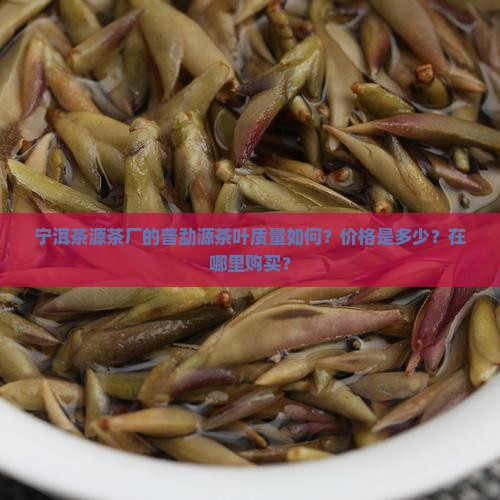宁洱茶源茶厂的普勐源茶叶质量如何？价格是多少？在哪里购买？