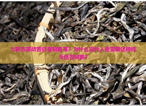 七彩古茶坊昔归春前名茶？为什么现代人更需要这种纯天然古树茶？