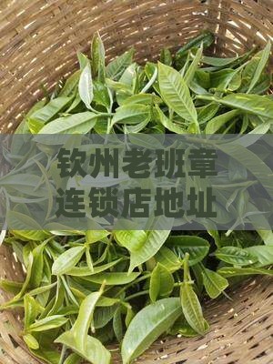 钦州老班章连锁店地址及分店列表