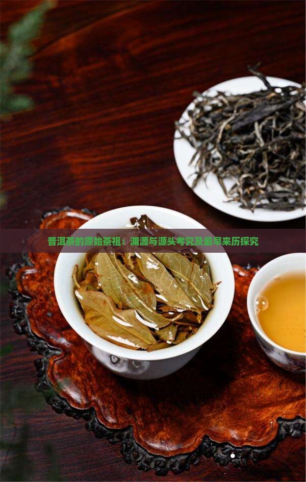 普洱茶的原始茶祖：渊源与源头考究及最早来历探究