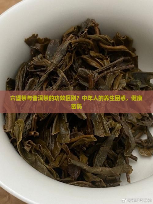 六堡茶与普洱茶的功效区别？中年人的养生困惑，健康密码
