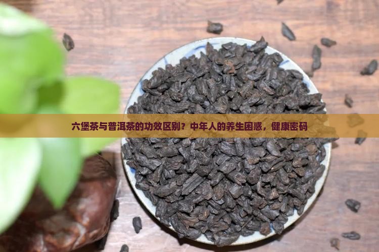 六堡茶与普洱茶的功效区别？中年人的养生困惑，健康密码