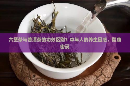 六堡茶与普洱茶的功效区别？中年人的养生困惑，健康密码