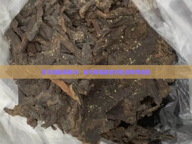 夏天能喝莓茶吗：夏天喝莓茶的好处及季节选择