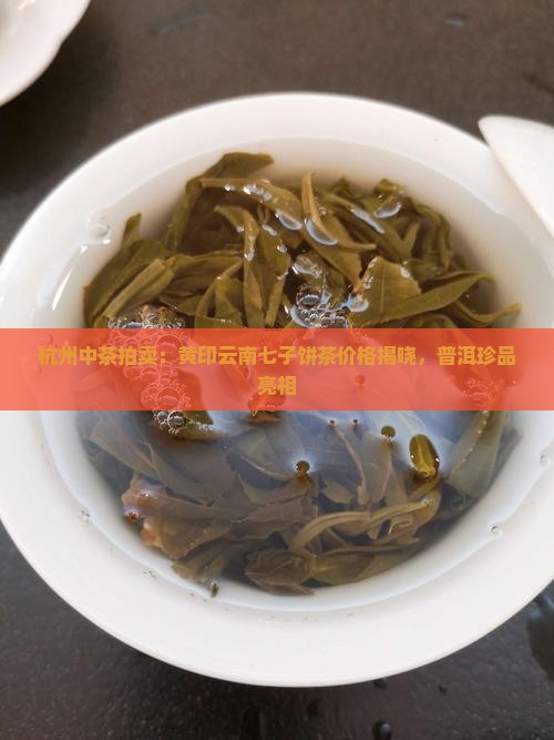 杭州中茶拍卖：黄印云南七子饼茶价格揭晓，普洱珍品亮相