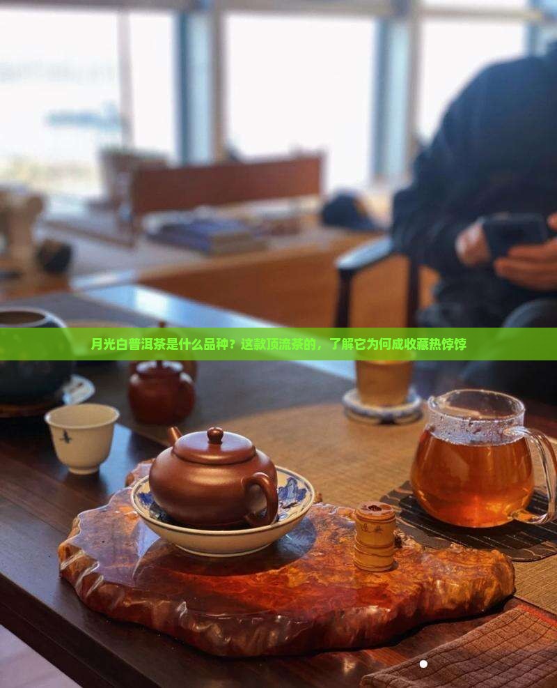 月光白普洱茶是什么品种？这款顶流茶的，了解它为何成收藏热饽饽