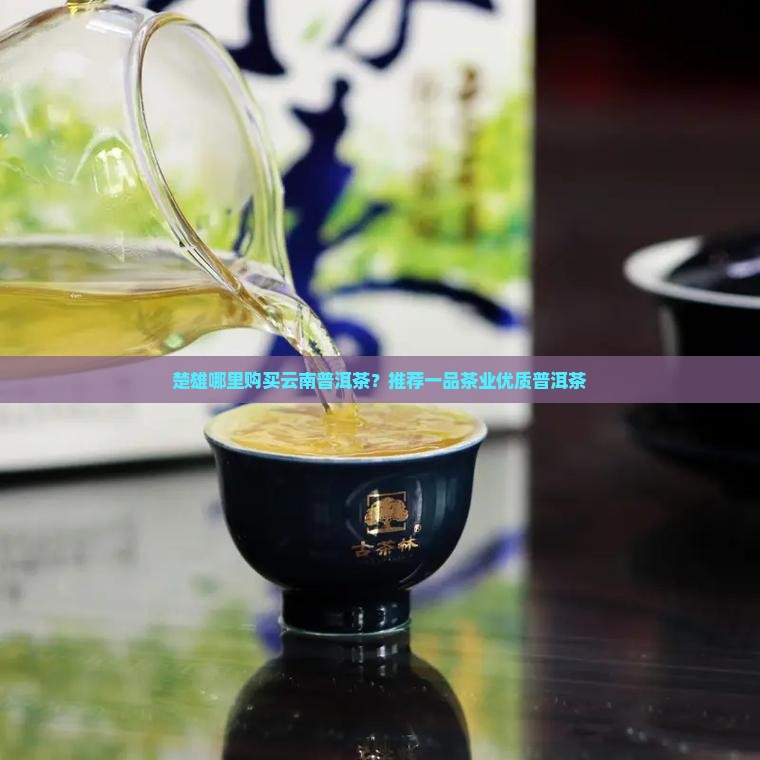 楚雄哪里购买云南普洱茶？推荐一品茶业优质普洱茶