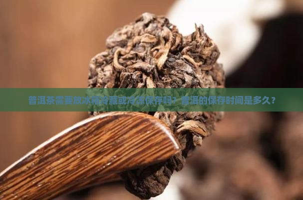 普洱茶需要放冰箱冷藏或冷冻保存吗？普洱的保存时间是多久？