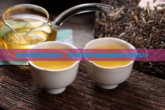 陈皮与普洱茶搭配泡水，如何发挥其神奇功效缓解现代生活压力？
