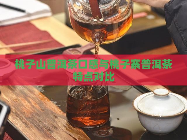 桃子山普洱茶口感与桃子寨普洱茶特点对比
