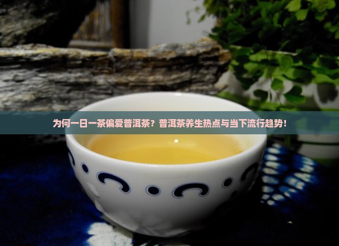 为何一日一茶偏爱普洱茶？普洱茶养生热点与当下流行趋势！