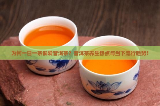 为何一日一茶偏爱普洱茶？普洱茶养生热点与当下流行趋势！