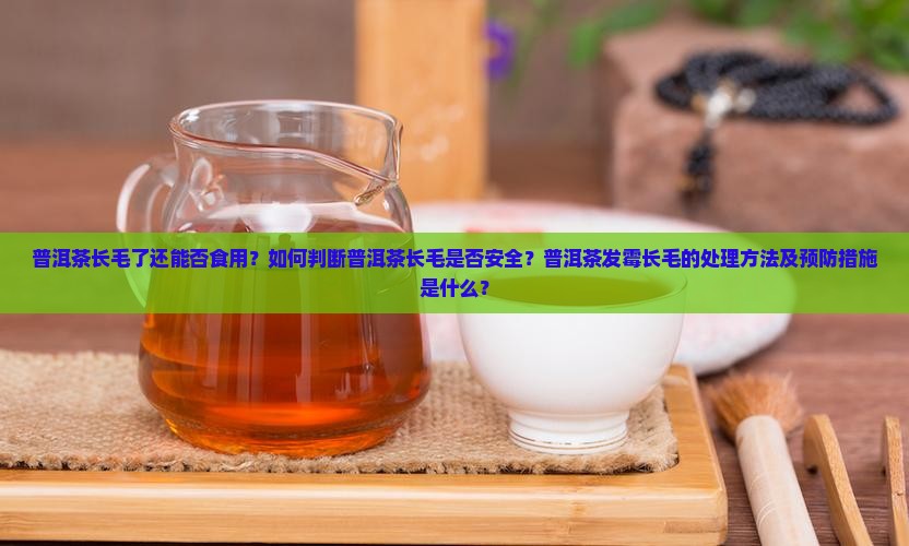 普洱茶长毛了还能否食用？如何判断普洱茶长毛是否安全？普洱茶发霉长毛的处理方法及预防措施是什么？