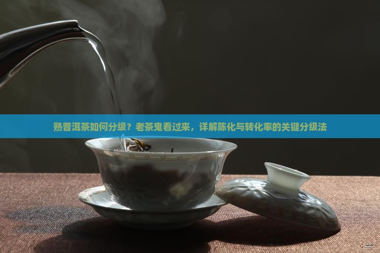 熟普洱茶如何分级？老茶鬼看过来，详解陈化与转化率的关键分级法