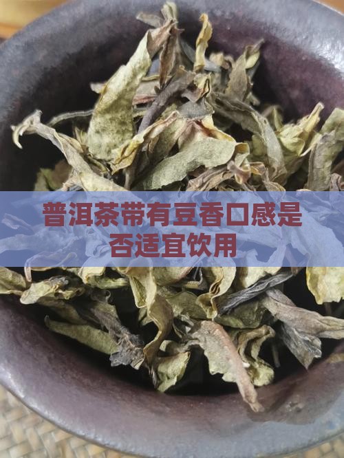 普洱茶带有豆香口感是否适宜饮用